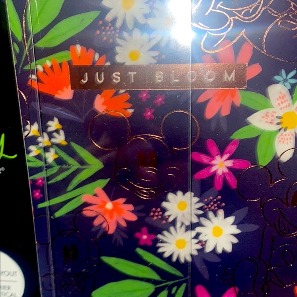 Sold….not for sale……The happy planner Disney 12 month planner!!! Brand new!!! - Picture 3 of 7